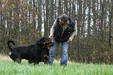 ADULTE ET CHIEN 136